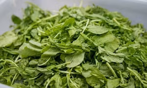 Những dinh dưỡng tốt, lành mạnh dành cho người cao tuổi