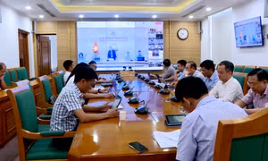 Rà soát việc thực hiện Nghị quyết về bảo đảm an ninh năng lượng