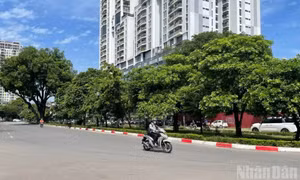 Thời tiết ngày 13/7: Bắc Bộ và Nam Bộ nhiều nơi có mưa rào và dông