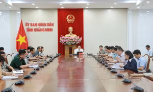 Tiếp tục hoàn thiện thể chế, pháp luật phục vụ yêu cầu phát triển đất nước