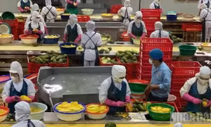 Nông nghiệp duy trì tăng trưởng ổn định trong 6 tháng đầu năm 2026