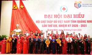 Xây dựng mô hình nhân đạo toàn diện, chuyên nghiệp
