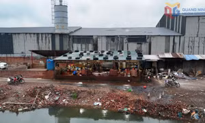 Siết chặt hoạt động giết mổ gia súc tại cơ sở