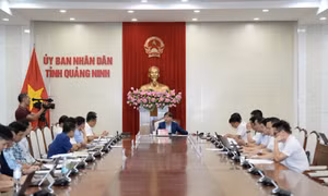 Tập trung tháo gỡ khó khăn cho các dự án năng lượng