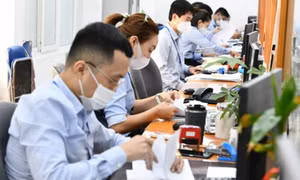 Quy định tỷ lệ công chức bố trí theo vị trí việc làm