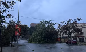  Các phường Móng Cái khẩn trương khắc phục hậu quả mưa bão, sớm ổn định cuộc sống người dân