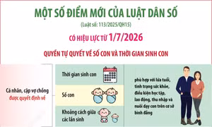 Một số điểm mới của Luật Dân số có hiệu lực từ ngày 1/7/2026