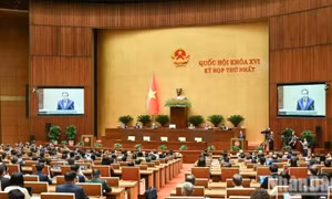 Kỳ họp không thường lệ thứ nhất, Quốc hội khóa XVI khai mạc ngày 3/8