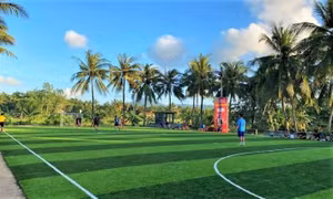 Trụ điện gãy đổ, đè một học sinh tử vong ở Gia Lai 