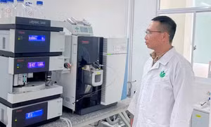Ứng dụng AI đánh giá chất lượng nông sản