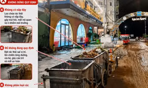 Đặc khu Cô Tô xử phạt cơ sở kinh doanh vi phạm trong lĩnh vực môi trường
