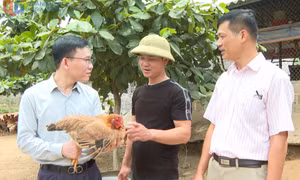 Động lực đổi mới ở xã Quảng La