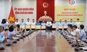 Tổng kết tổng điều tra kinh tế và điều tra cơ sở hành chính sự nghiệp năm 2026