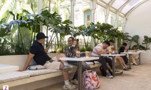 Nhạc AI âm thầm vào quán cafe