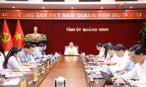 Ban Thường vụ Tỉnh ủy cho ý kiến đối với Đề án phát triển kinh tế đô thị