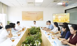Quảng Ninh lần đầu tổ chức CEO Mentoring hỗ trợ doanh nghiệp nâng cao năng lực quản trị