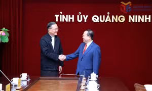 Đồng chí Bí thư Tỉnh ủy tiếp, làm việc với Tập đoàn Amata và các nhà đầu tư