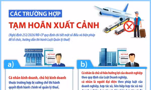 Các trường hợp tạm hoãn xuất cảnh quy định tại Luật Quản lý thuế