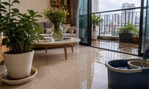 Vì sao sau mưa, sốt xuất huyết thường dễ tăng?