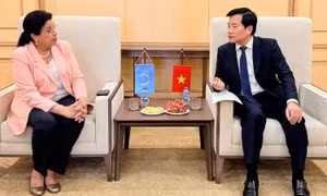 Thúc đẩy hợp tác Việt Nam-IAEA về ứng dụng năng lượng nguyên tử vì mục đích hòa bình
