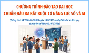 Chương trình đào tạo đại học: Chuẩn đầu ra bắt buộc có năng lực số và AI