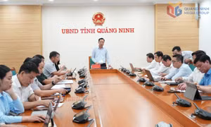 UBND tỉnh triển khai thực hiện các nghị quyết ngay sau Kỳ họp thứ 6, HĐND tỉnh khóa XV 