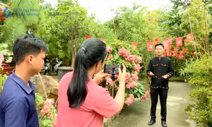Những cán bộ cơ sở trong kỷ nguyên số