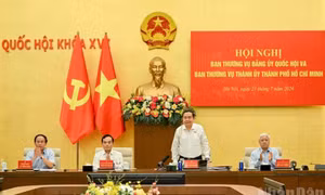 Chú trọng thúc đẩy tư duy quản trị đô thị hiện đại, kiến tạo phát triển