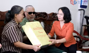 Phó Bí thư Thường trực Tỉnh ủy Trịnh Thị Minh Thanh thăm, tặng quà người có công 
