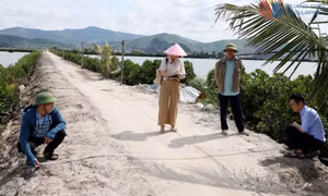 Gỡ mặt bằng cho tuyến đường sắt tốc độ cao