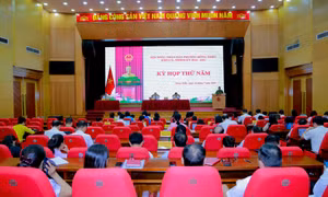 HĐND phường Đông Triều thông qua 8 Nghị quyết quan trọng tại kỳ họp thường lệ giữa năm 2026