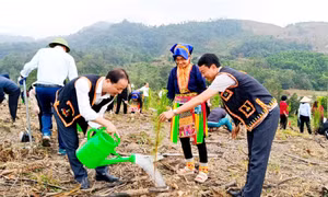 Khát vọng đổi mới ở Kỳ Thượng