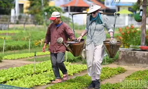 Khám phá Việt Nam trong cuộc phiêu lưu đa giác quan