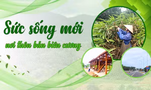 Sức sống mới nơi thôn bản biên cương