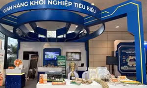 Giảm ô nhiễm nhựa, đẩy mạnh chuyển đổi xanh
