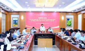 Quy định về chức năng, nhiệm vụ, quyền hạn của Ban Chỉ đạo Trung ương về phòng, chống tham nhũng, lãng phí, tiêu cực