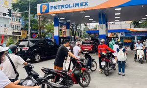 Cục Thuế khẩn trương triển khai chính sách kéo dài ưu đãi thuế đối với xăng dầu