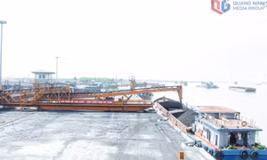 Giữ nhịp cung ứng than cho sản xuất điện