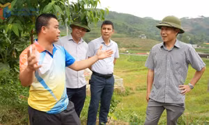 Khơi sức dân từ mô hình “Dân vận khéo” ở xã Đông Ngũ