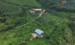 Khởi sắc nơi vùng cao biên giới Bình Liêu