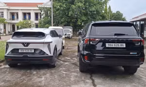 Gắn biển số ‘phát lộc’ giả, tài xế bị phạt 40 triệu đồng