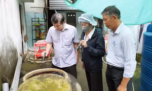Ảnh hưởng của sốt xuất huyết Dengue với sức khỏe
