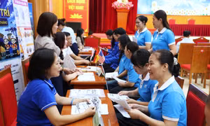 Vân Đồn tổ chức Ngày hội việc làm năm 2026, kết nối người lao động với doanh nghiệp