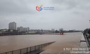 Móng Cái 1: Triển khai các biện pháp ứng phó mưa lớn, lũ trên sông