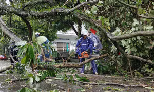 Phường Móng Cái 1 huy động tổng lực rà soát thiệt hại, hỗ trợ người dân ổn định cuộc sống, sản xuất sau bão