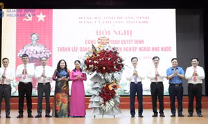 Thành lập Đảng bộ Khối doanh nghiệp ngoài nhà nước phường Mạo Khê