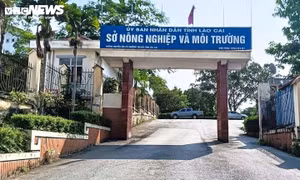Phát hiện cán bộ Sở Nông nghiệp và Môi trường Lào Cai tử vong tại trụ sở