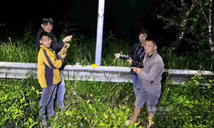 Bắt giữ nhóm người gây hàng loạt vụ trộm ở Khu du lịch quốc gia Hồ Tuyền Lâm