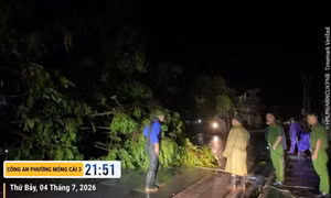Điện lực Quảng Ninh khẩn trương xử lý sự cố, sớm cấp điện tại những nơi bị ảnh hưởng bởi bão