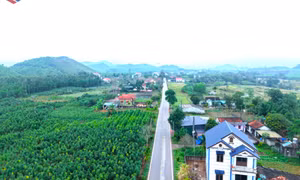 Chuyển động mới ở Đường Hoa